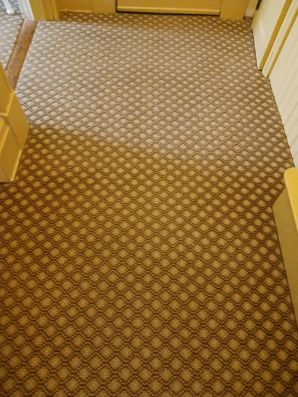 Carpet Cleaning in Fort Thomas, KY (2)