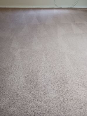 Carpet Cleaning in Oakley, OH (4)