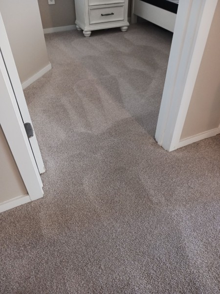Carpet Cleaning in Cincinnati, OH (3)