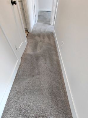 Carpet Cleaning in Amelia, OH (4)