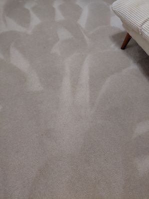 Before & After Carpet Cleaning in Hamilton, OH (2)
