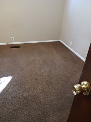 Carpet Cleaning in Hamilton, OH (4)