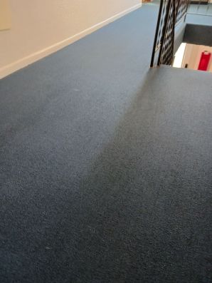 Before & After Carpet Cleaning in Alexandria, KY (2)