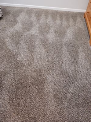 Carpet Cleaning in Reading, OH (1)