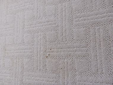 Carpet Cleaning in Fort Thomas, KY (4)