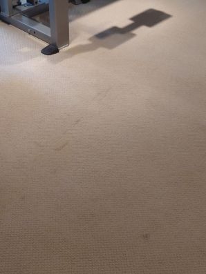 Before & After Carpet Cleaning in Indian Hill, OH (3)
