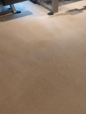 Before & After Carpet Cleaning in Indian Hill, OH (4)
