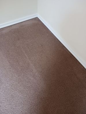 Carpet Cleaning in Oakley, OH (2)