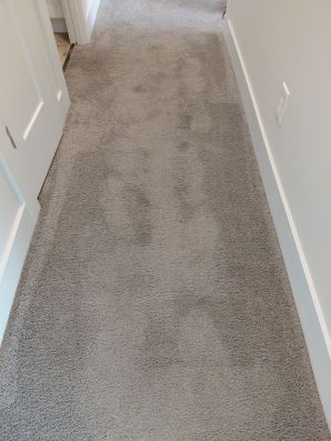 Carpet Cleaning in Amelia, OH (3)