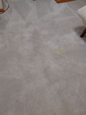 Carpet Cleaning