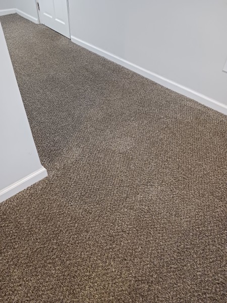 Carpet Cleaning in Reading, OH (3)