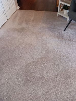 Carpet Cleaning in Cincinnati, OH (2)