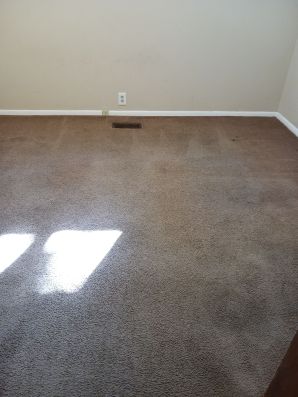 Carpet Cleaning in Hamilton, OH (3)