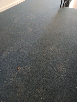Before & After Carpet Cleaning in Alexandria, KY (1)