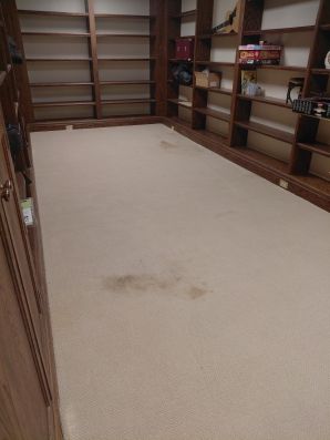 Before & After Carpet Cleaning in Indian Hill, OH (1)
