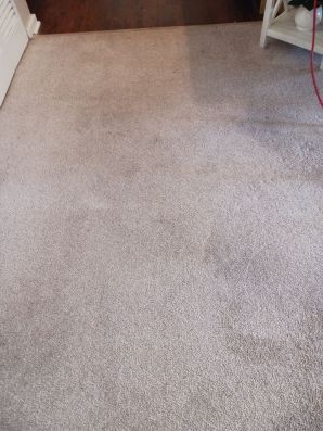 Carpet Cleaning in Cincinnati, OH (1)