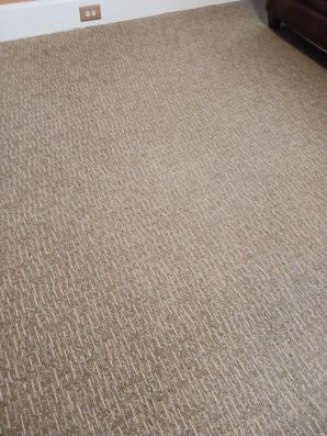 Carpet Cleaning in Fort Thomas, KY (2)
