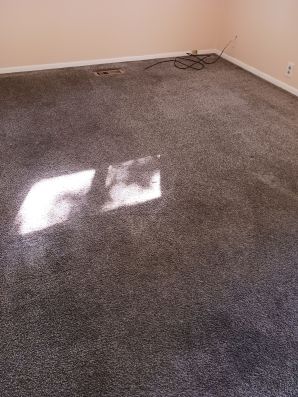Carpet Cleaning in Hamilton, OH (2)