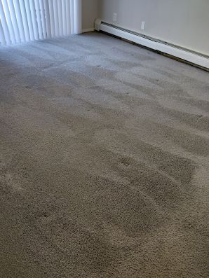 Carpet Cleaning in Amelia, OH (2)