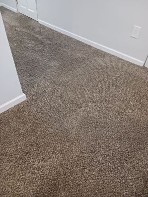 Carpet Cleaning in Reading, OH (2)