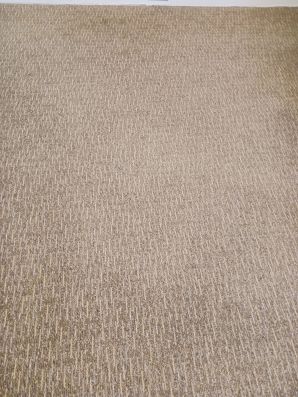Carpet Cleaning in Fort Thomas, KY (1)