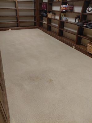 Before & After Carpet Cleaning in Indian Hill, OH (2)