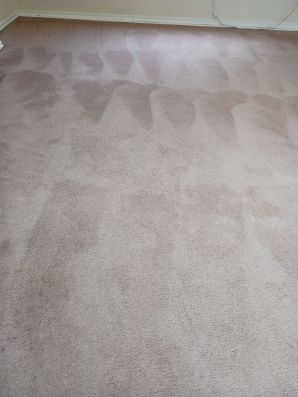 Carpet Cleaning in Oakley, OH (3)