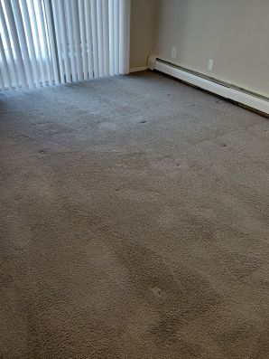 Carpet Cleaning in Amelia, OH (1)