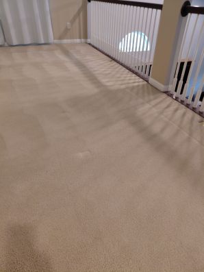 Carpet Cleaning in Liberty Township, OH (2)